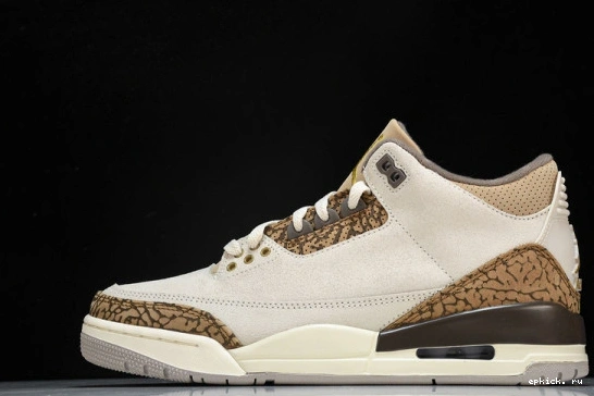 Cheap EP CT8532-102   Palomino CT8532-102 Retro Jordan 3 0106